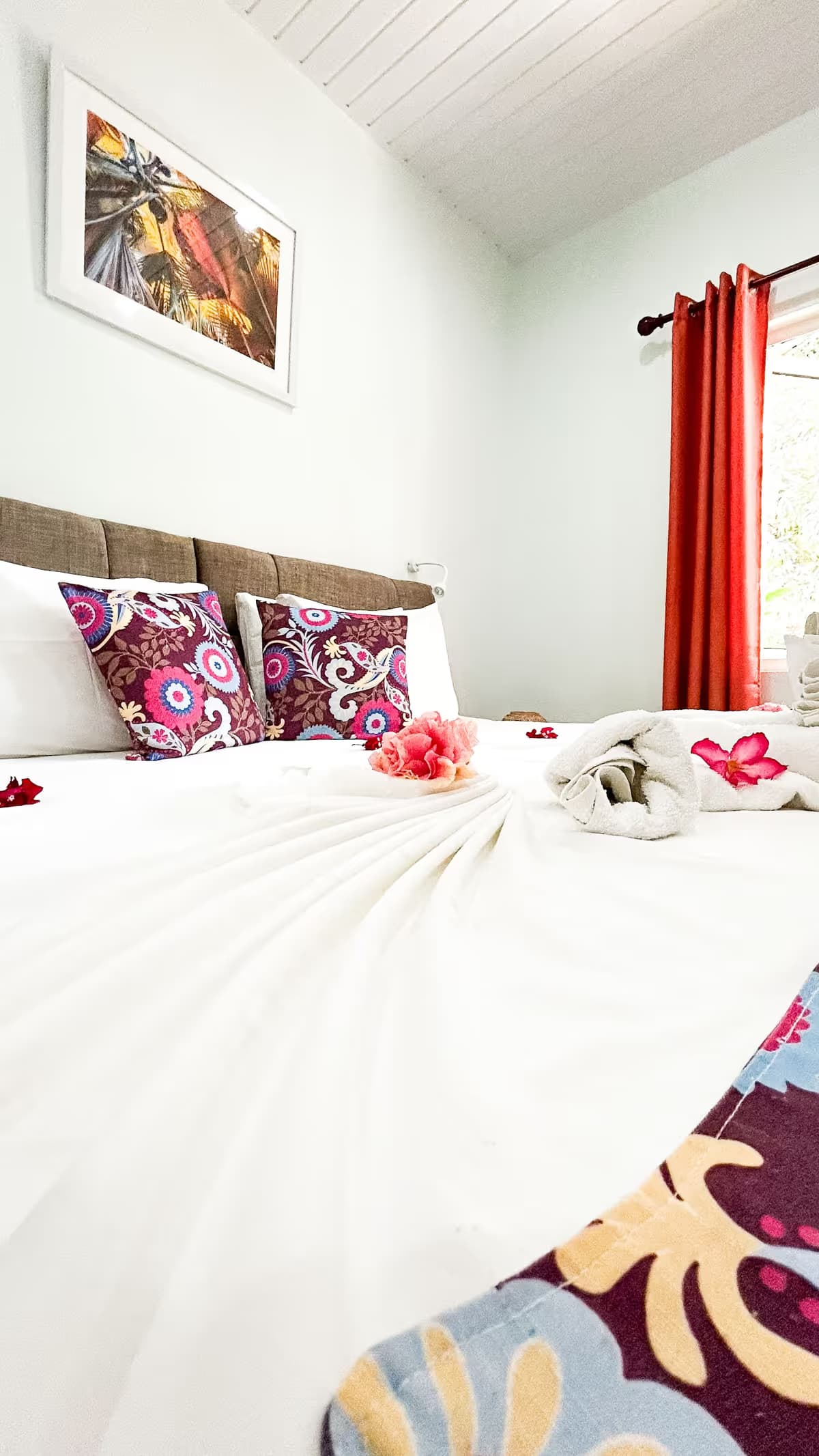 Deluxe Garden Apartment 